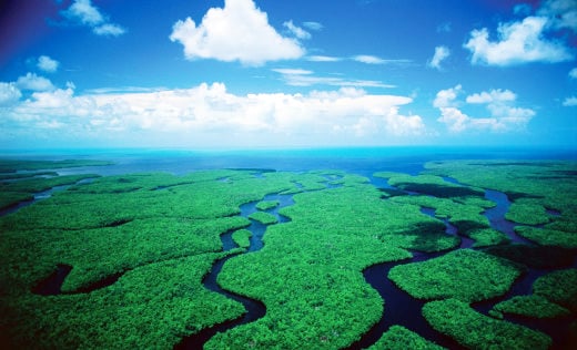 Everglades National Park