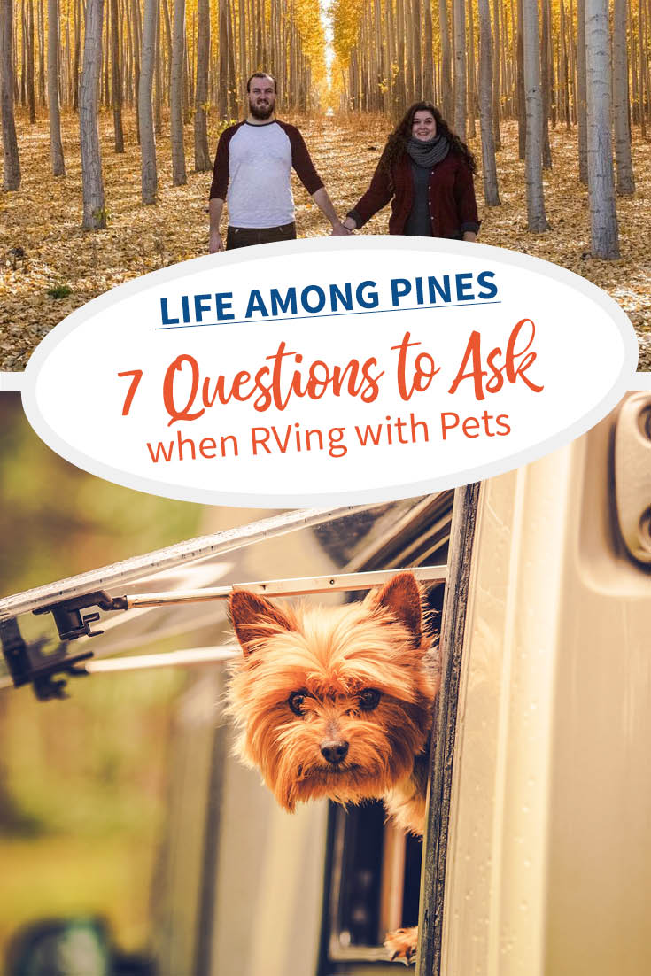 7 Questions to Ask When RVing with Pets