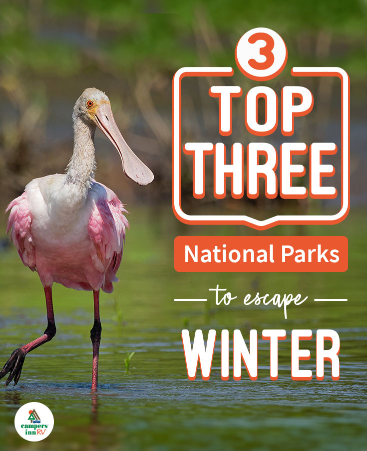 20191101_corp-digital-social-media-pin-coversTop_3_National_Parks_to_Escape_Winter_Weather