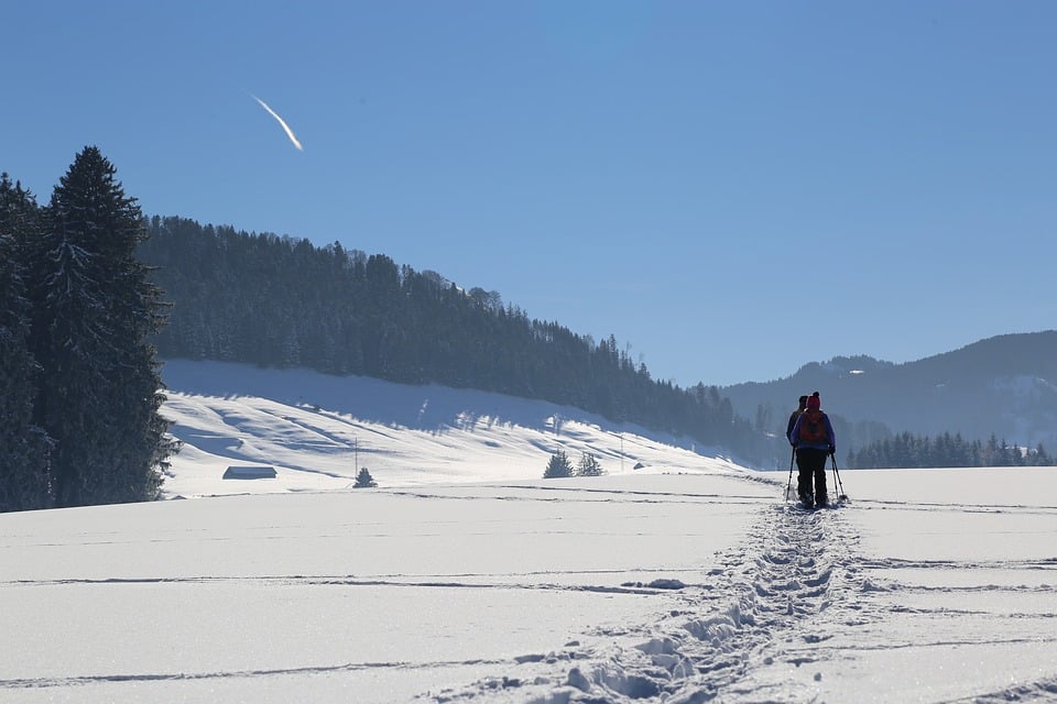 A family cross country Skiing on winter trails