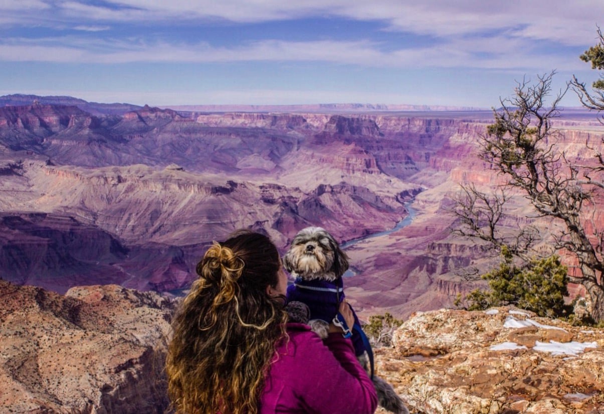 Full-time RVers Life Among Pines enjoying the Grand Canyon with their Dogs