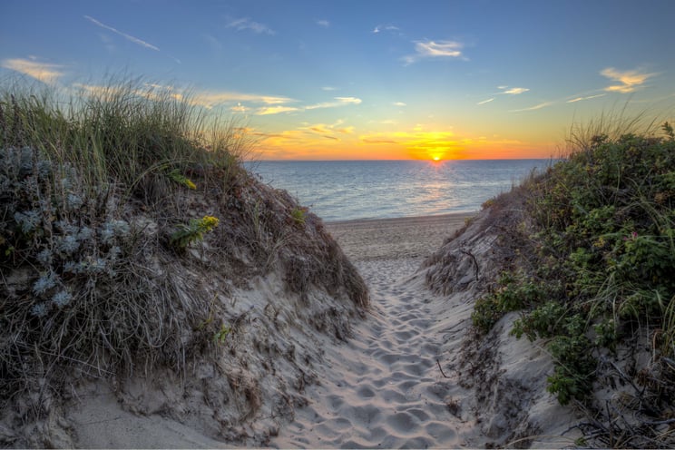 Cape Cod small AdobeStock_117950824.jpg