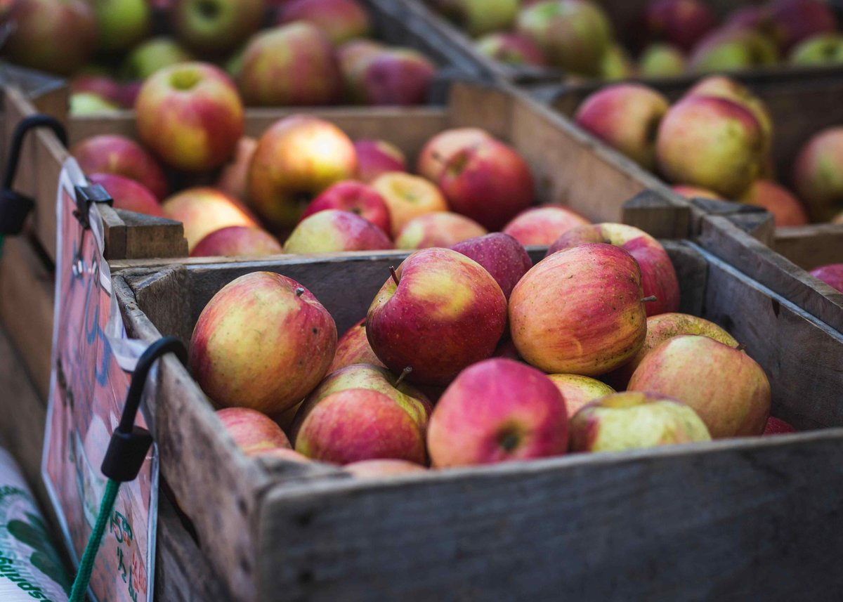 Baskets of Apples at an Orchard