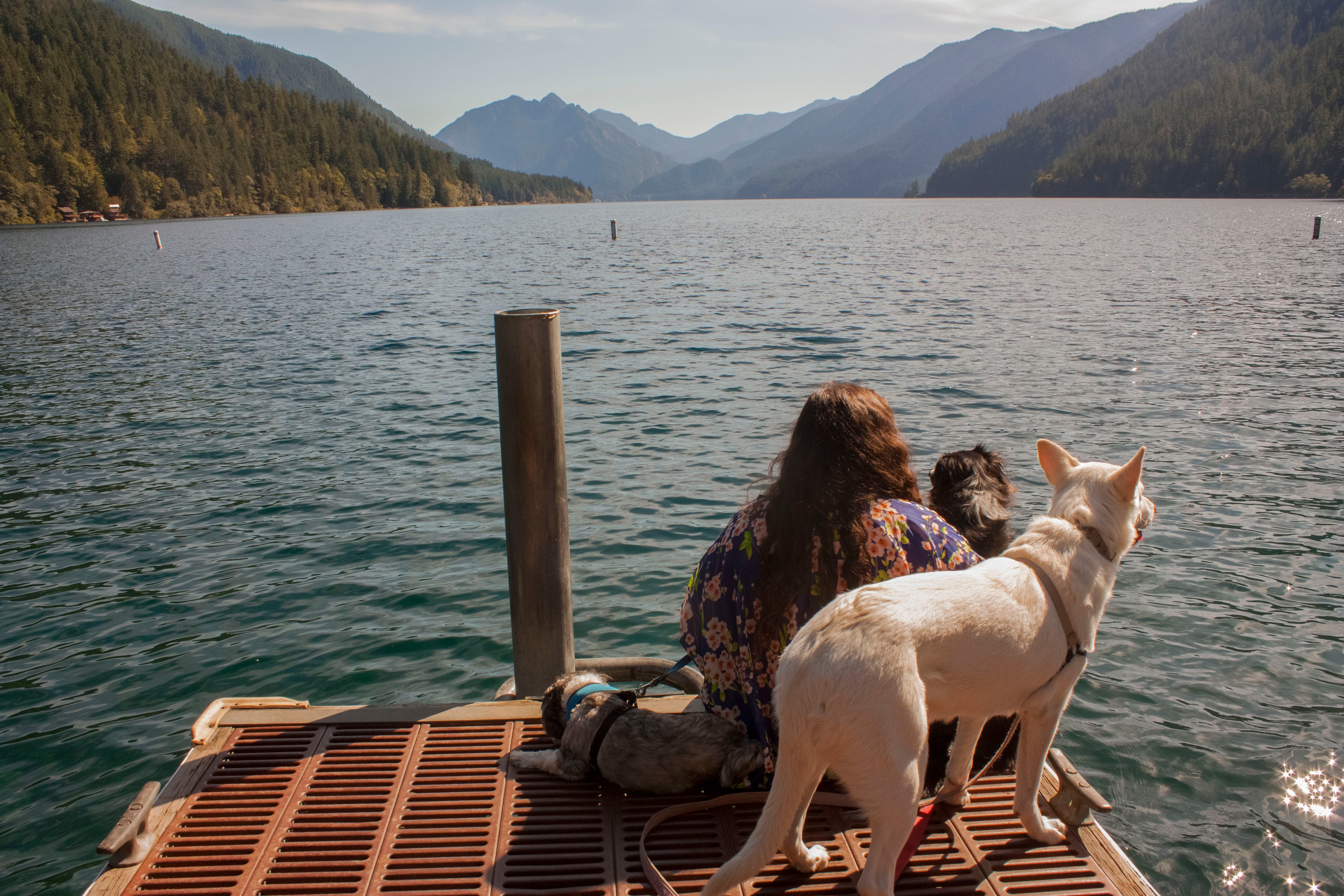 Full-time RVers Life Among Pines look out over Lake Crescent in Olympic National Park with their dogs