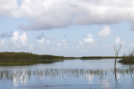 5 Beautiful RV Destinations in Florida for Nature Lovers