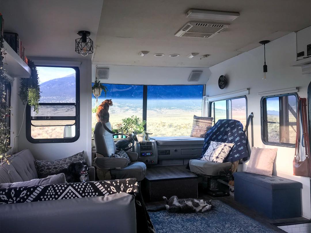Cats relaxing in an RV