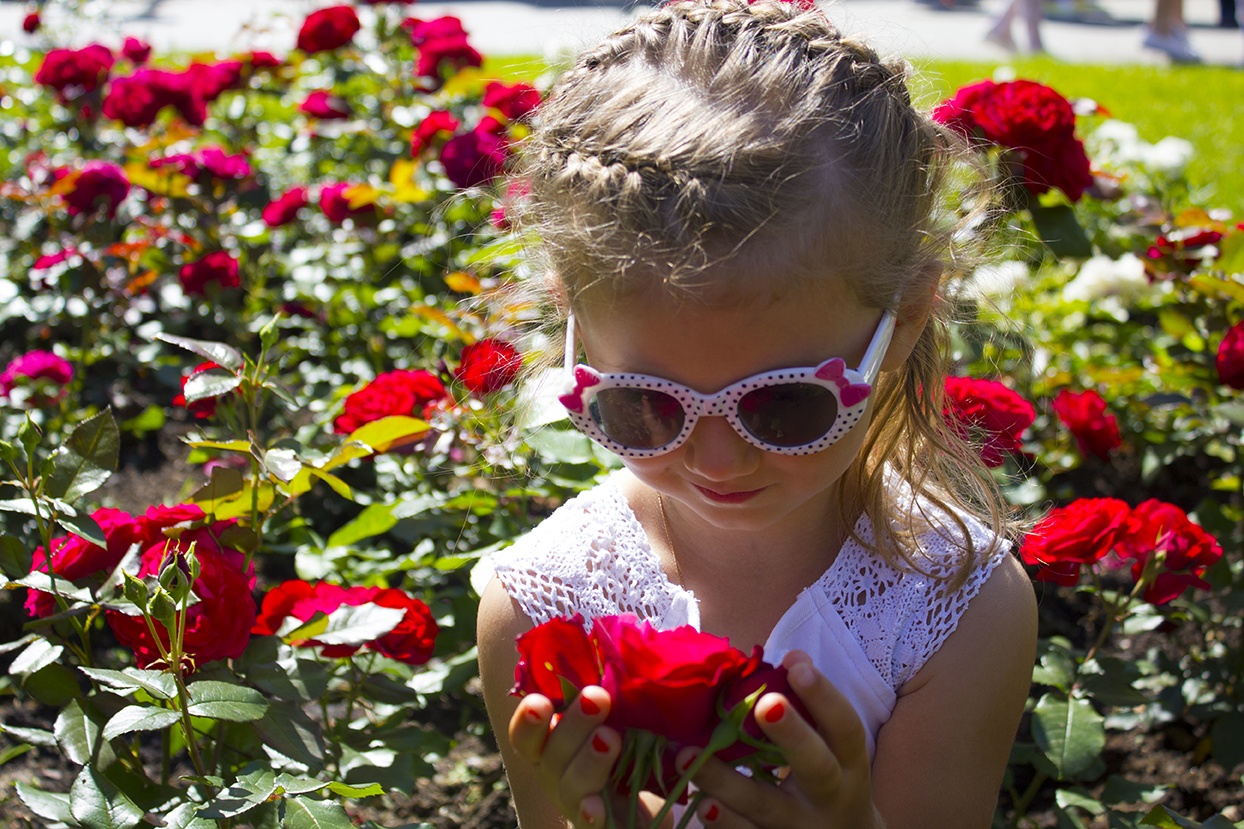 Visit Hershey Gardens in Hershey, Pennsylvania to explore dozes of varieties of flowers.