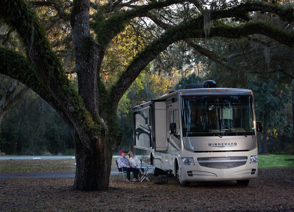 winnebago motorhome camping under a tree