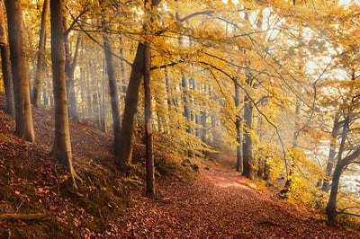 Top Places to RV this Fall