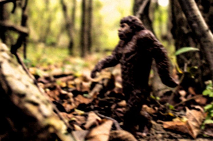 bigfoot blurred.jpg