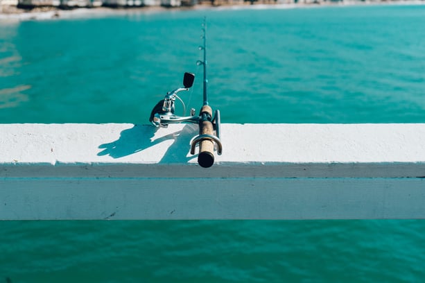 Fishing in Georgia