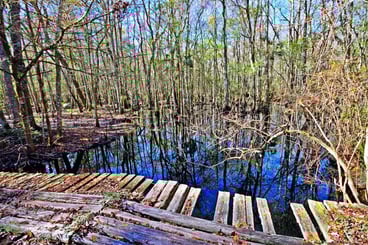 Bridge in Gourd Island