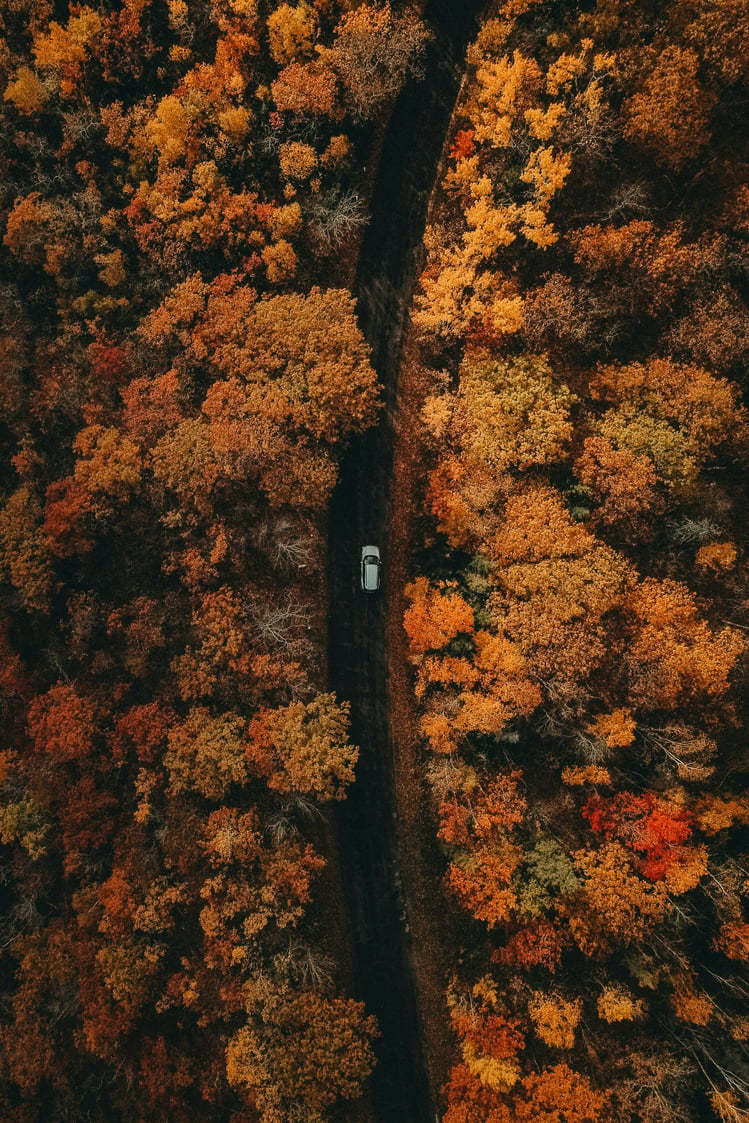 Beautiful Fall Scenery