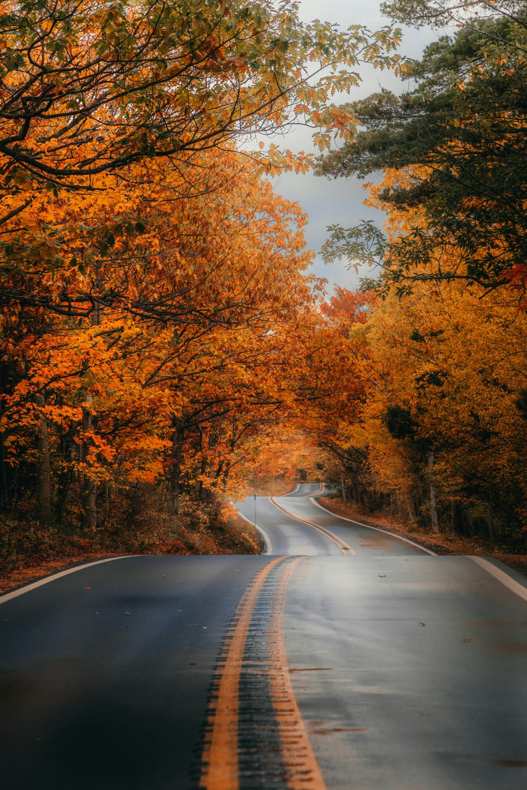 Fall Foliage Drive