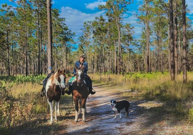 Horse Riding in Julington-Durbin