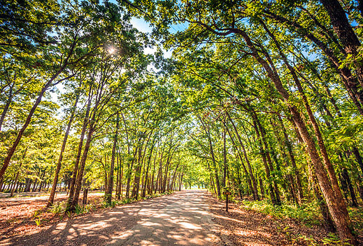 lake tawakoni campground in texas