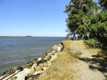 Trail View in Guana Preserve