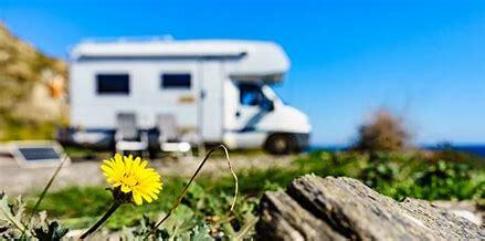 RV with flower in foreground