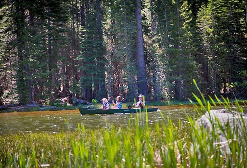Three kids kayak down a wooded river