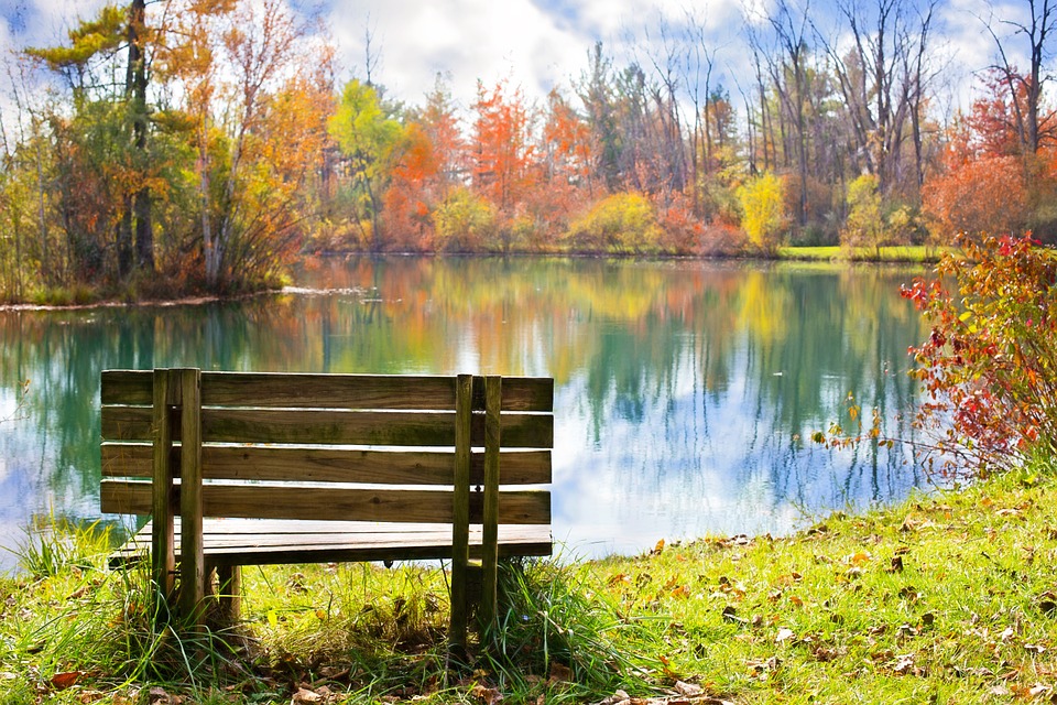 wood-bench-986347_960_720