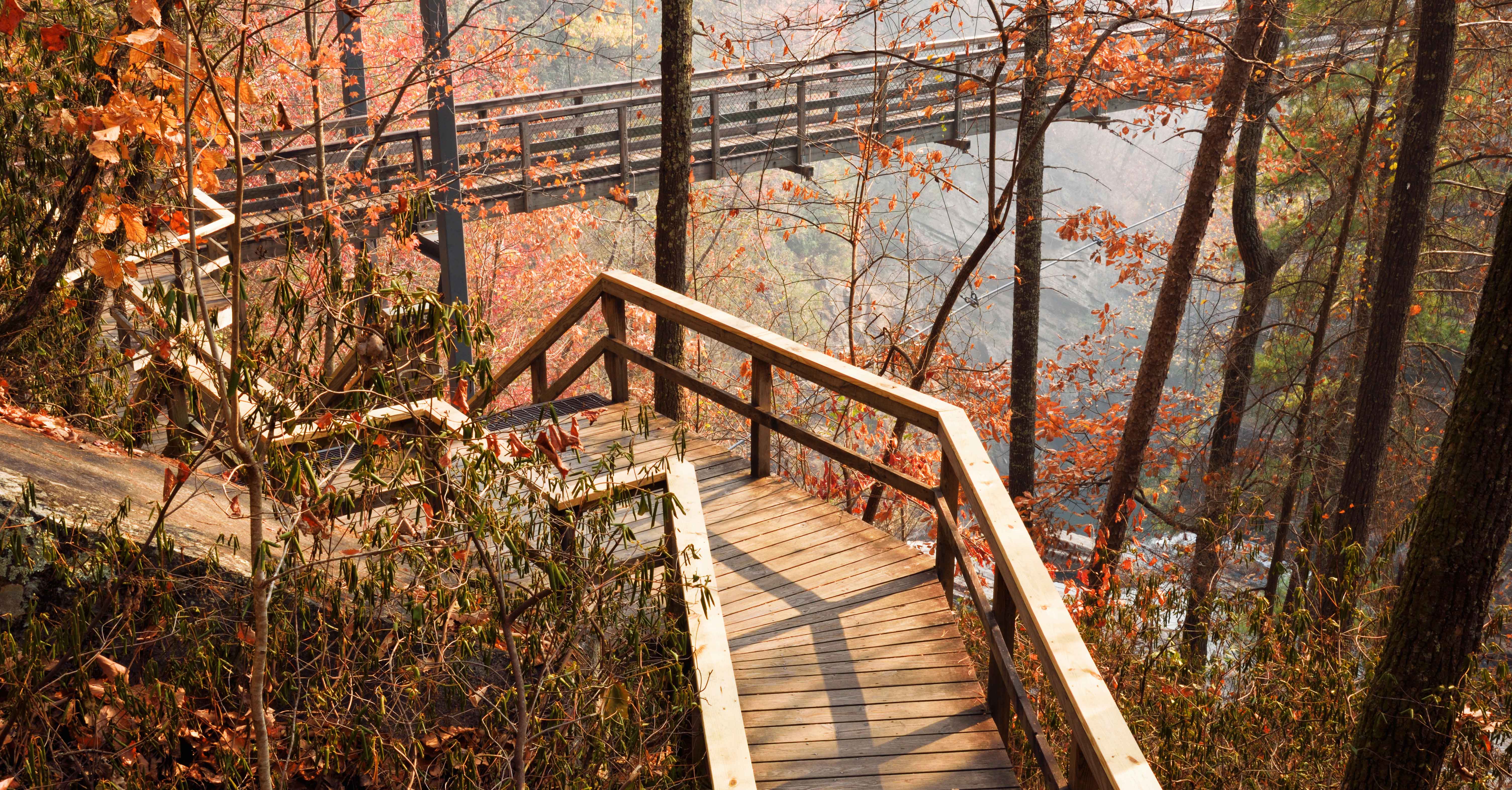 Bridge over the Tallulah River FB Crop AdobeStock_179134233-1.jpg