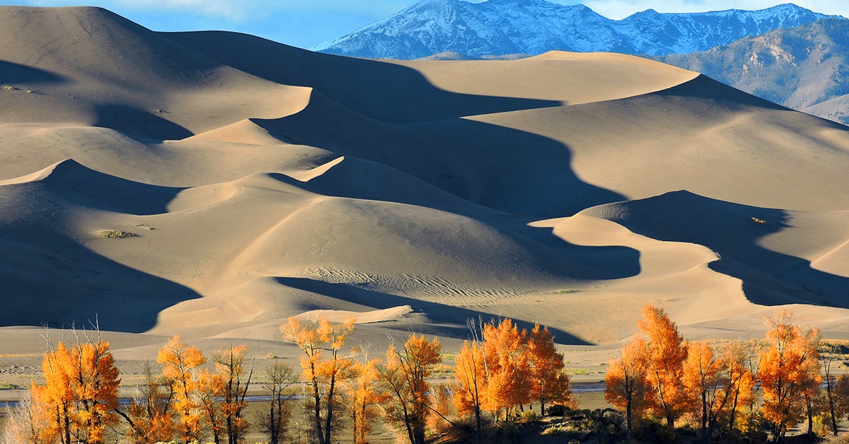 sand_dunes_ad.jpg